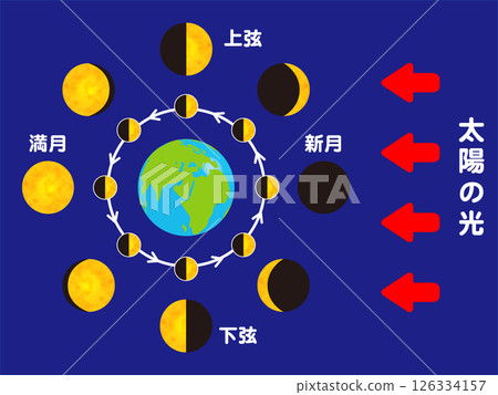 Illustration of the phases of the Earth and the Moon Illustration of the phases of the Earth and the Moon 126334157