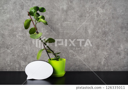 Potted plant and speech bubble 126335011