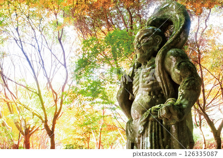 Futagoji Nio statue and autumn leaves Futagoji Nio statue and autumn leaves 126335087