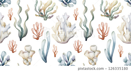 Sea plants. Seaweeds coral sponge. Watercolor hand painted summer seamless pattern on white background. Cute pastel neutral underwater ocean marine life for kids baby nursery textile fabric, wrapping Sea plants. Seaweeds coral sponge. Watercolor hand painted summer seamless pattern on white background. Cute pastel neutral underwater ocean marine life for kids baby nursery textile fabric, wrapping 126335180