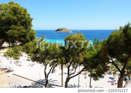The sea view and beach with pine trees, Mallorca, Spain 126335217