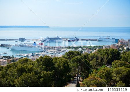The cruise ships are in harbour, Mallorca, Spain. The cruise ships are in harbour, Mallorca, Spain. 126335219