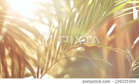 Blurred sunlight filtering through tropical palm leaves, serene background 126335304