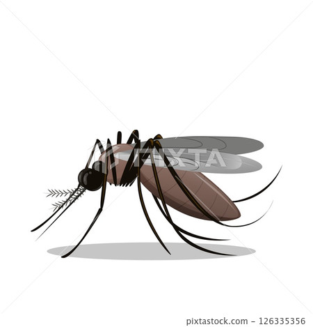 Mosquito Cartoon Vector illustration. Small dangerous bloodsucker insect. 126335356