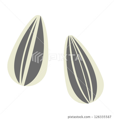 Sunflower seeds illustration Sunflower seeds illustration 126335587