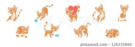 Cat Pet and Domestic Animal with Cute Snout Vector Set 126335660