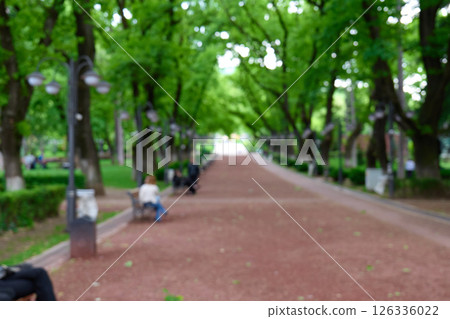 Visitors enjoy a peaceful walk along a tree-lined path in the park. High quality photo Visitors enjoy a peaceful walk along a tree-lined path in the park. High quality photo 126336022