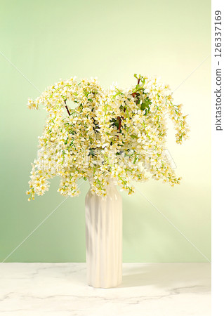 Still life with beautiful spring branches of blooming bird cherry in vase on elegant background. Abstract floral composition and banner for screen, floral holiday card with summer greeting concept Still life with beautiful spring branches of blooming bird cherry in vase on elegant background. Abstract floral composition and banner for screen, floral holiday card with summer greeting concept 126337169