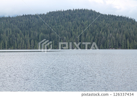 The Forested Hill Over Sasamat Lake, British Columbia 126337434