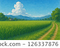 Lush, green rice field scenery 126337876