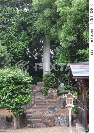 Okkonomiya shrine 126338408