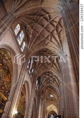 Late Gothic ribbed vaults and interlocking ribs in Gothic Cathedral of Segovia 126338437