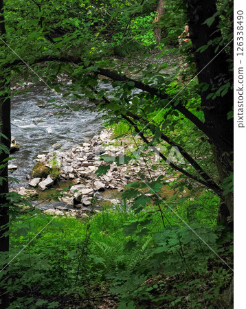 River Botic flowing through lush forest in the pacific northwest River Botic flowing through lush forest in the pacific northwest 126338490