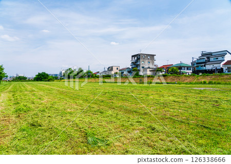 一個大型綠色公園,草坪修剪整齊 一個大型綠色公園,草坪修剪整齊 126338666