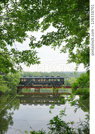 Railway scenery with fresh greenery and reflections (Wakayama Electric Railway, Oike Amusement Park) 126338701