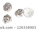 水彩畫風格的 Djungarian 倉鼠的各種姿勢 126338903