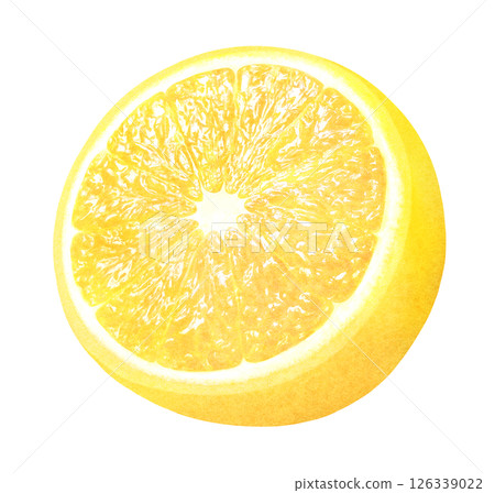 Hand-drawn illustration of a lemon cut in half_Watercolor_Fresh citrus fruits Hand-drawn illustration of a lemon cut in half_Watercolor_Fresh citrus fruits 126339022