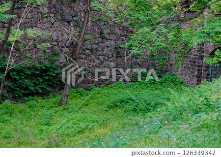 Nagoya Castle outer moat scenery of fresh greenery 126339342
