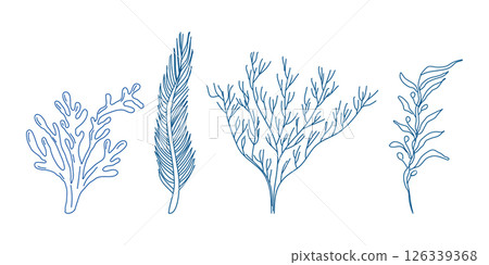 Marine elements doodle style set in blue la dolce vita. Italian style. Undersea world. Menu design of postcard and poster. Vector illustration. 126339368