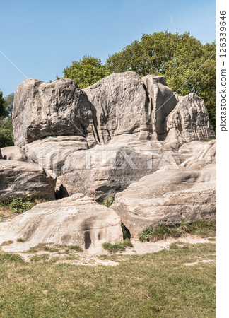 An unusual outcrop of natural sandstone rocks on Wellington Rocks. 126339646