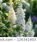 Elegant White Flowering Spire 126341403