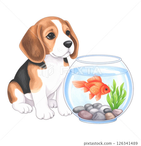 一隻小獵犬小狗抱著一條紅色金魚的插圖/傳單和海報的材料 一隻小獵犬小狗抱著一條紅色金魚的插圖/傳單和海報的材料 126341489