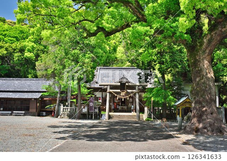日和佐八幡神社 日和佐八幡神社 126341633