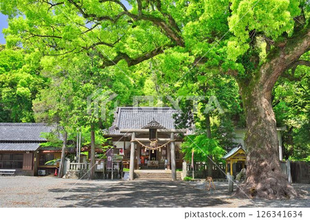 Hiwasa Hachiman Shrine Hiwasa Hachiman Shrine 126341634