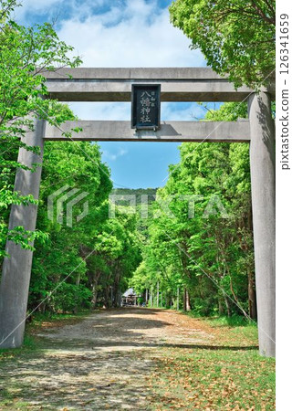 通往日和佐八幡神社的鳥居門 通往日和佐八幡神社的鳥居門 126341659
