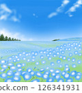 藍色 nemophila 花園 126341931