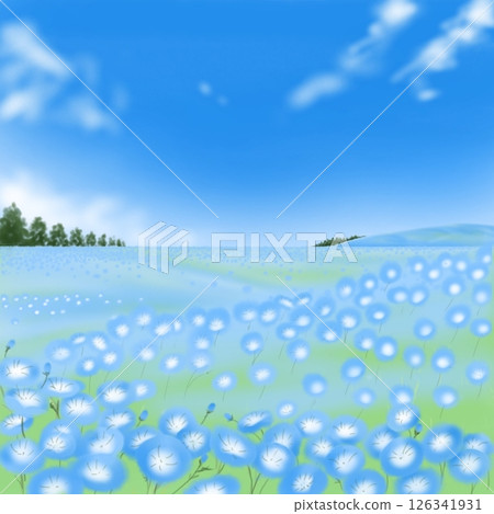 藍色 nemophila 花園 藍色 nemophila 花園 126341931