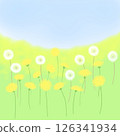 蒲公英花和絨毛 126341934