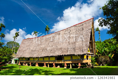 Bai Rekeai, a traditional meeting house for men in Aimeliik State of Palau in Micronesia, Oceania Bai Rekeai, a traditional meeting house for men in Aimeliik State of Palau in Micronesia, Oceania 126341981