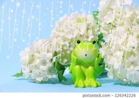 Rain falling on a cute frog figurine and white hydrangeas - rainy season image background 126342226