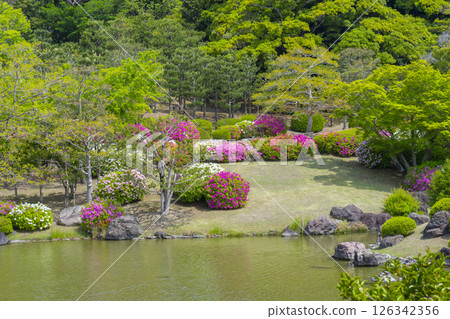 Expo Memorial Park, Tsutsujigaoka seen across Shinji Pond 126342356