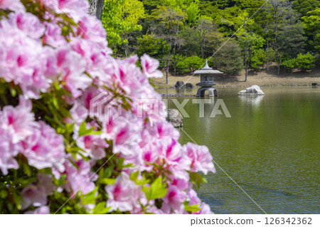 Expo Commemoration Park: Shinji Pond and azaleas in the Japanese garden 126342362