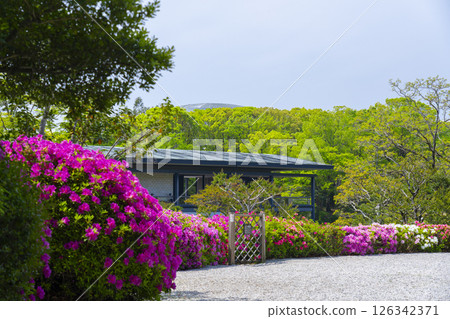 Expo Memorial Park Tsutsujigaoka 126342371