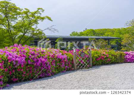 萬博紀念公園杜鵑丘 126342374