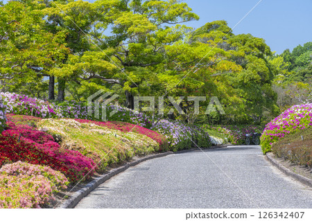 萬博紀念公園杜鵑丘 126342407