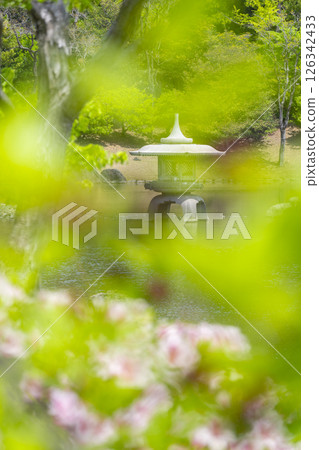 萬博紀念公園：日本庭園的真嗣池 126342433