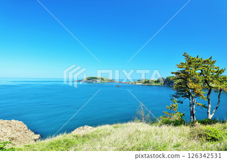 Tojinbo, Fukui Prefecture: Blue skies and ocean 126342531