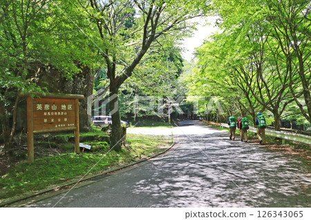 A popular tourist spot in Soeda Town, Fukuoka Prefecture: Hikosan Takazumi Shrine A popular tourist spot in Soeda Town, Fukuoka Prefecture: Hikosan Takazumi Shrine 126343065