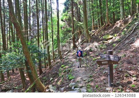 A person walking along the Shugendo Hikosan mountain trail in Soeda, Fukuoka Prefecture 126343088
