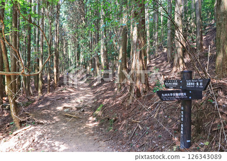 Shugendo Hikosan mountain trail in Soeda Town, Fukuoka Prefecture 126343089