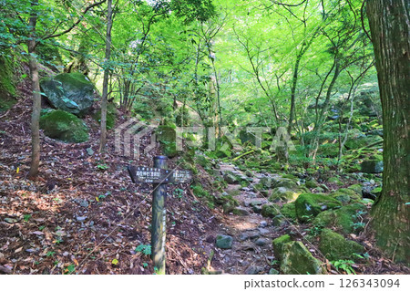 Shugendo Hikosan mountain trail in Soeda Town, Fukuoka Prefecture 126343094