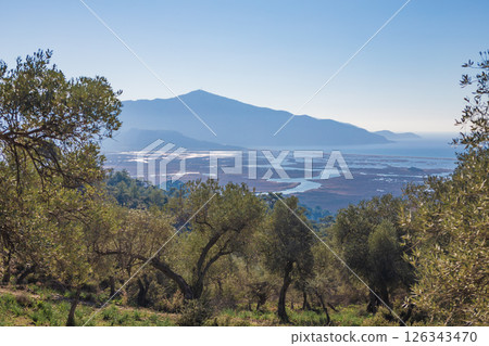 View of the Dalyan river delta, Sulungur lake and Iztuzu beach, olives gardens from ancient Greek city Kaunos or Caunus in Anatolia. Popular place for family travel on summer vacation. Mugla, Turkey, 126343470