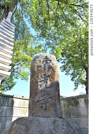 大田區漫步:大田區本町高野山真言宗東光寺 大田區漫步:大田區本町高野山真言宗東光寺 126343673