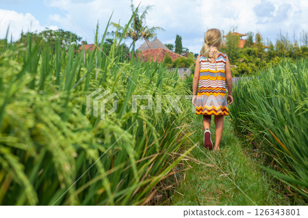 Nature walk in green rice terrace. Little kid trekking by path with beautiful view of Balinese traditional fields. Travel adventure with child, family vacation in Bali, Indonesia Nature walk in green rice terrace. Little kid trekking by path with beautiful view of Balinese traditional fields. Travel adventure with child, family vacation in Bali, Indonesia 126343801