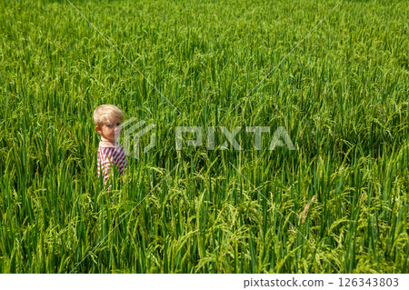 Nature walk in green rice terrace. Little kid trekking by path with beautiful view of Balinese traditional fields. Travel adventure with child, family vacation in Bali, Indonesia Nature walk in green rice terrace. Little kid trekking by path with beautiful view of Balinese traditional fields. Travel adventure with child, family vacation in Bali, Indonesia 126343803
