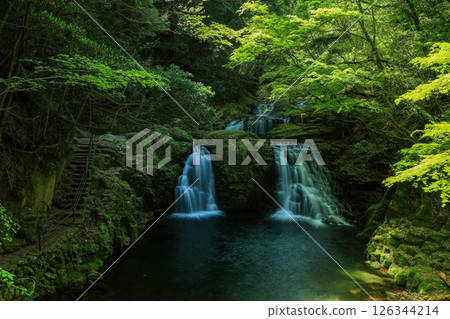 綠色的瀑布 126344214